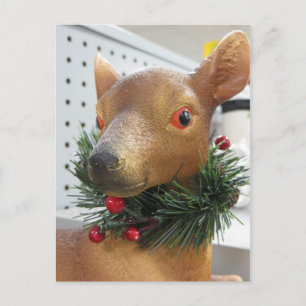 Evergreen Deer Briefkaart