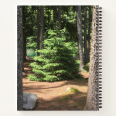 Evergreen Doodle Notitieboek (Achterkant)
