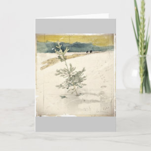 Evergreen Feestdagen Kaart