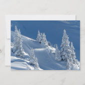 Evergreen Firs met wintersneeuw (Voorkant)