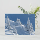 Evergreen Firs met wintersneeuw (Staand voorkant)