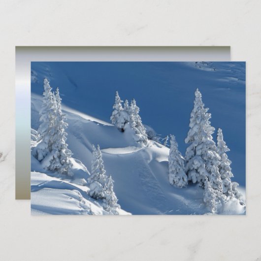 Evergreen Firs met wintersneeuw (Voorkant / Achterkant)