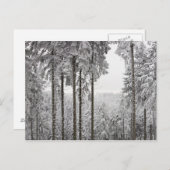 Evergreen forest in de winter briefkaart (Voorkant / Achterkant)