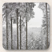 Evergreen forest in de winter drankjes onderzetter (Voorkant)