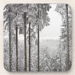 Evergreen forest in de winter drankjes onderzetter