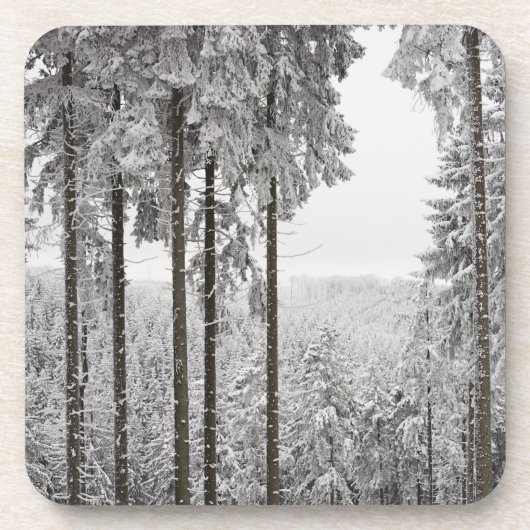 Evergreen forest in de winter drankjes onderzetter (Voorkant)
