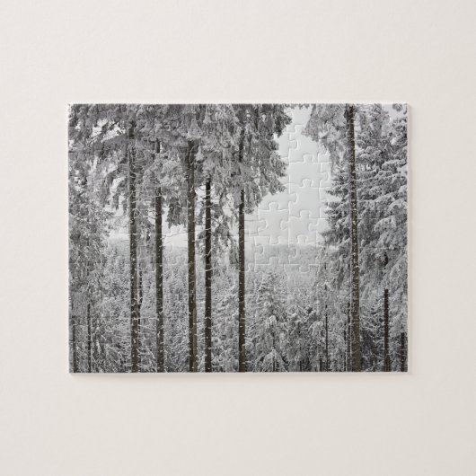Evergreen forest in de winter legpuzzel (Horizontaal)