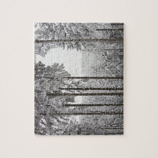 Evergreen forest in de winter legpuzzel (Verticaal)