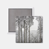 Evergreen forest in de winter magneet (Voorkant / Achterkant)