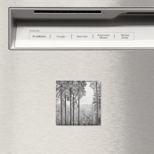 Evergreen forest in de winter magneet (Insitu (Vaatwasser))