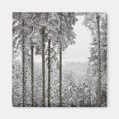 Evergreen forest in de winter magneet (Voorkant)