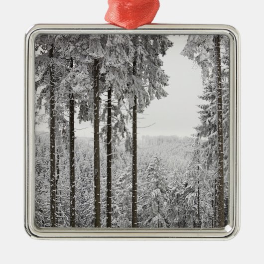 Evergreen forest in de winter metalen ornament (Voorkant)