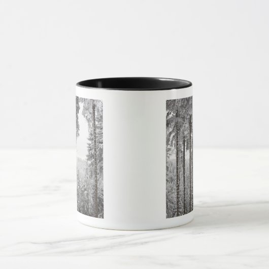 Evergreen forest in de winter mok (Midden)