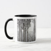 Evergreen forest in de winter mok (Links)