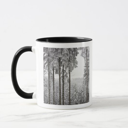 Evergreen forest in de winter mok (Links)