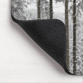 Evergreen forest in de winter muismat (Hoek)