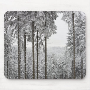 Evergreen forest in de winter muismat