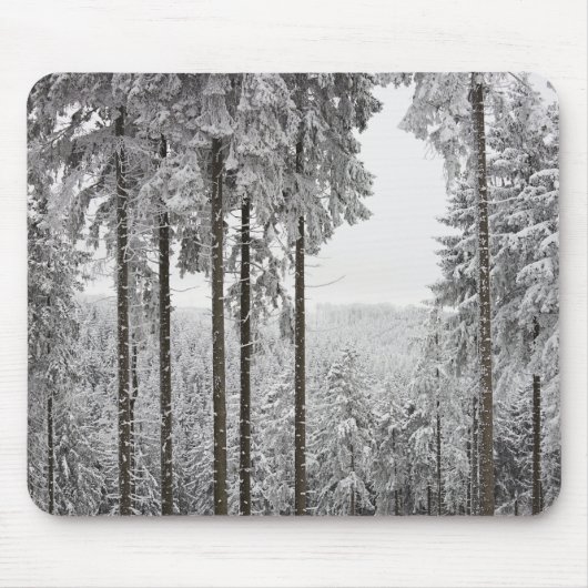 Evergreen forest in de winter muismat (Voorkant)