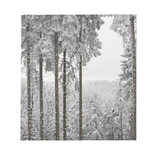 Evergreen forest in de winter notitieblok (Voorkant)
