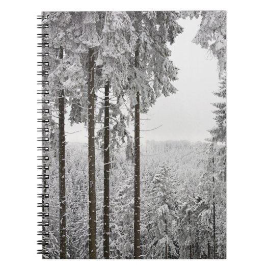 Evergreen forest in de winter notitieboek (Voorkant)