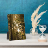 Evergreen Forest | Oregonkusten Fotoplaat (Zijkant)