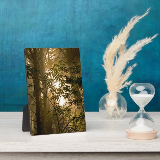 Evergreen Forest | Oregonkusten Fotoplaat (Zijkant)