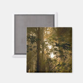 Evergreen Forest | Oregonkusten Magneet (Voorkant / Achterkant)