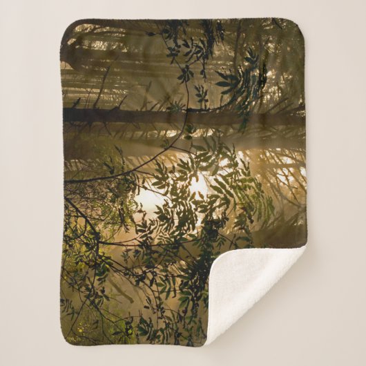 Evergreen Forest | Oregonkusten Sherpa Deken (Voorkant)