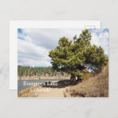 Evergreen Lake op Evergreen, Colorado Briefkaart (Voorkant / Achterkant)