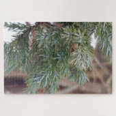 Evergreen-naalden in winterdetail legpuzzel (Horizontaal)