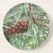 Evergreen Pine Cone Thirsty Sandstone Onderzetter (Voorkant)