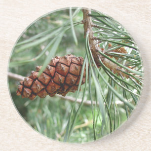 Evergreen Pine Cone Thirsty Sandstone Onderzetter