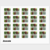 Evergreen Pinecone Snoep Buffet Sticker (Vel)
