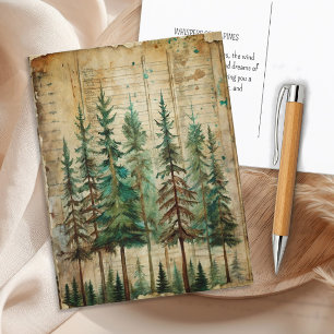 Evergreen Pines  Natuur boslandschap Briefkaart