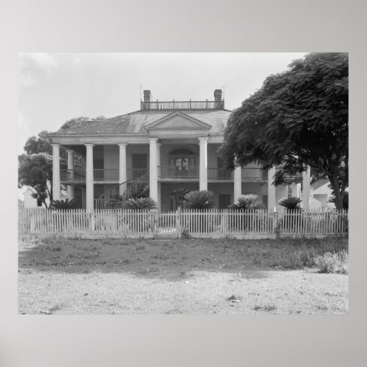 Evergreen Plantation Poster (Voorkant)