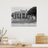 Evergreen Plantation Poster (Keuken)