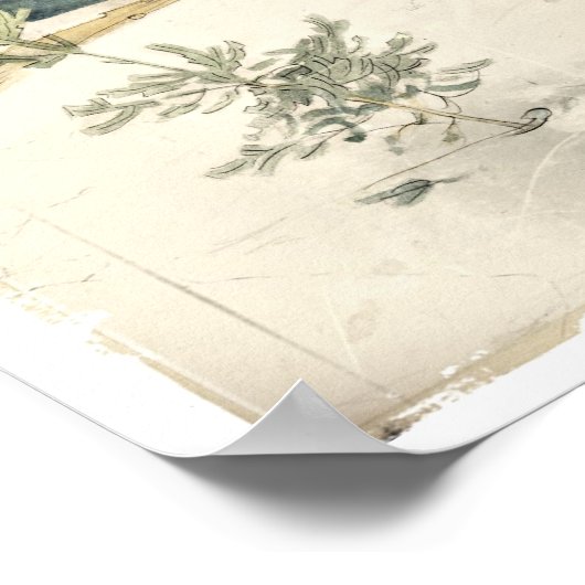 Evergreen Poster (Hoek)