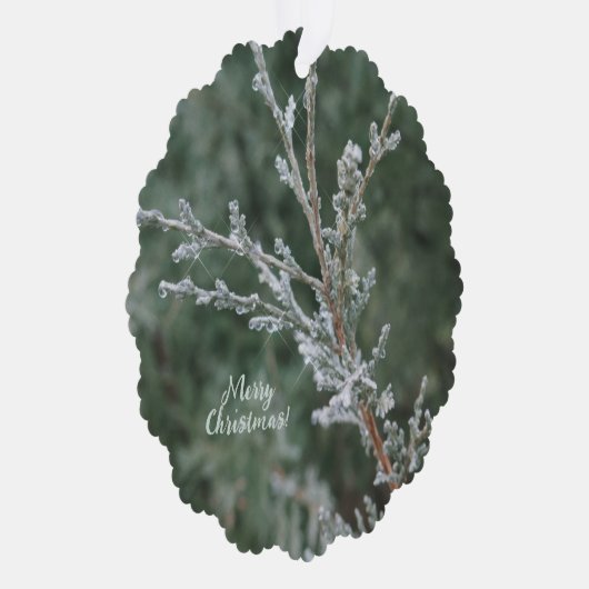 Evergreen Sparkling Frost Vrolijk Kerstfeest Ornament Kaart (Rechts)