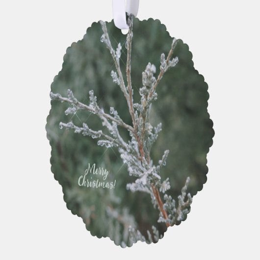 Evergreen Sparkling Frost Vrolijk Kerstfeest Ornament Kaart (Links)