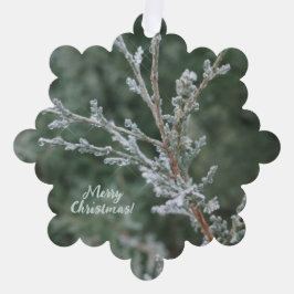 Evergreen Sparkling Frost Vrolijk Kerstfeest Ornament Kaart