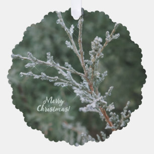 Evergreen Sparkling Frost Vrolijk Kerstfeest Ornament Kaart