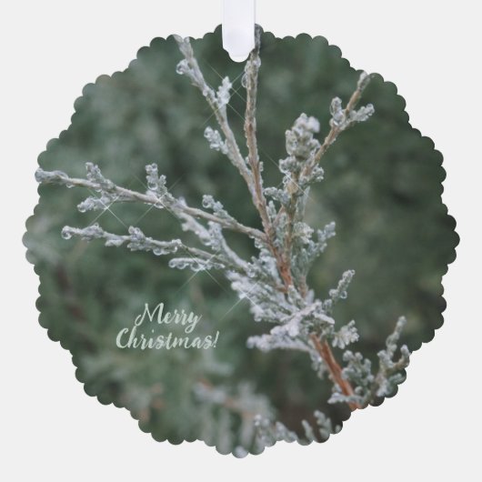 Evergreen Sparkling Frost Vrolijk Kerstfeest Ornament Kaart (Voorkant)