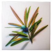 Evergreen Sprig met Berries Tegel Tegeltje (Voorkant)