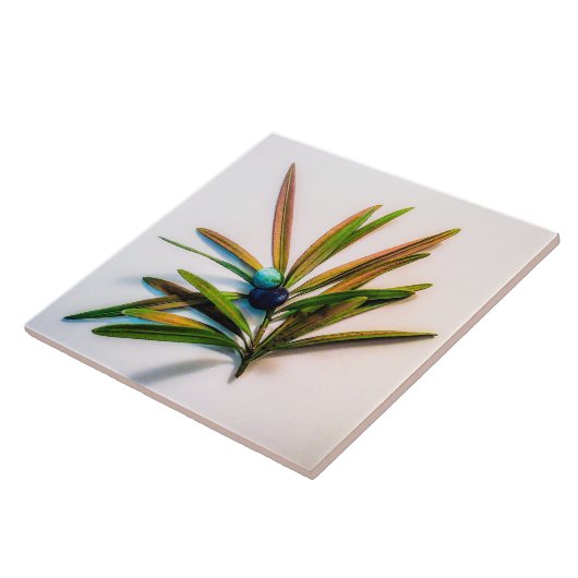 Evergreen Sprig met Berries Tegel Tegeltje (Zijkant)