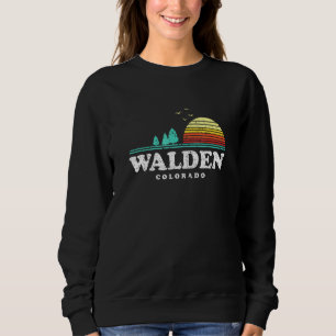 Evergreen Sunset Walden Forest Colorado Bossen Cam Trui