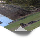 Evergreen Tree-Poster Poster (Hoek)