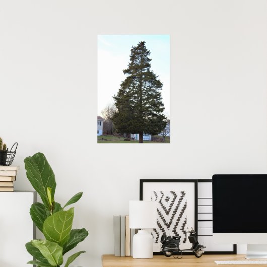 Evergreen Tree-Poster Poster (Thuiskantoor)