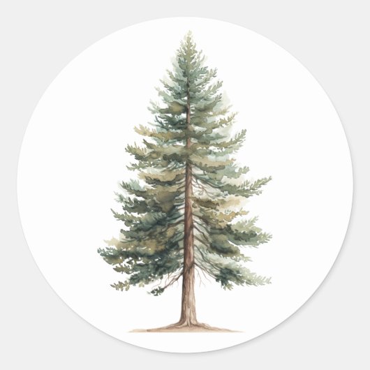 Evergreen Tree Sticker (Voorkant)