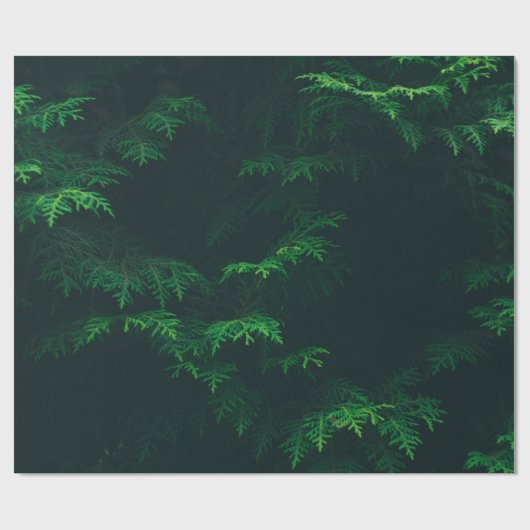 Evergreen tree wrapting paper cadeaupapier (Vlak)