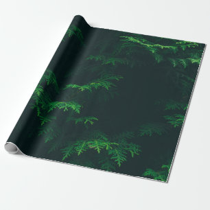 Evergreen tree wrapting paper cadeaupapier